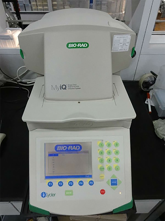 RT-PCR iCycler com MyIQ