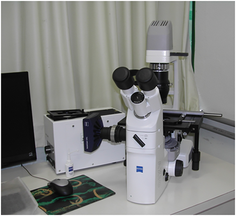 Microscópio de fluorescência invertido modelo AxioCam MRc